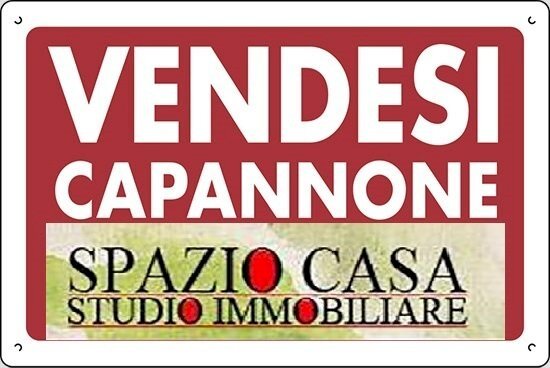 zoom.jpg - Locale Commerciale Pistoia - foto 2