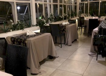 IMG_0528-e1521615356153-768x1024.jpg - Ristorante Via Francesco Carrara, Viareggio - foto 10