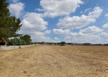 2.jpeg - Terreno agricolo Via Zappulla-Santa Maria 19, Modica - foto 2