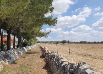 4.jpeg - Terreno agricolo Via Zappulla-Santa Maria 19, Modica - foto 4