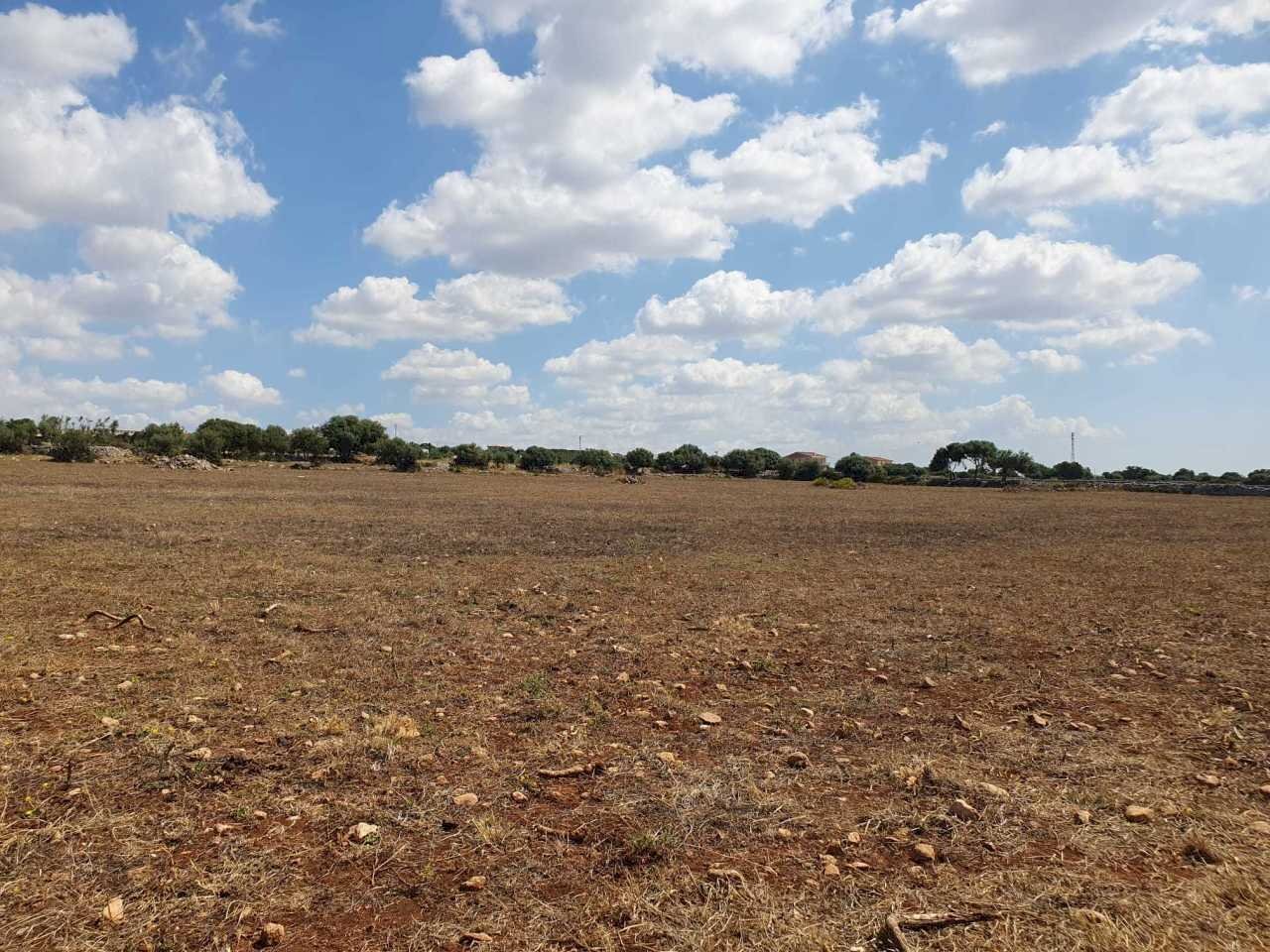 3.jpeg - Terreno agricolo Via Zappulla-Santa Maria 13, Modica - foto 3