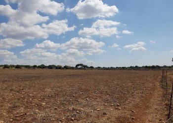 2.jpeg - Terreno agricolo Via Zappulla-Santa Maria 13, Modica - foto 1