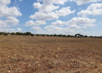 3.jpeg - Terreno agricolo Via Zappulla-Santa Maria 13, Modica - foto 3