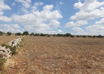 6.jpeg - Terreno agricolo Via Zappulla-Santa Maria 13, Modica - foto 7