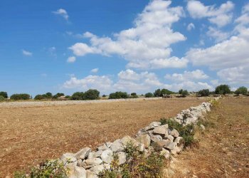 7.jpeg - Terreno agricolo Via Zappulla-Santa Maria 13, Modica - foto 8