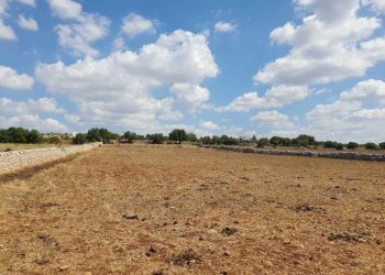 8.jpeg - Terreno agricolo Via Zappulla-Santa Maria 13, Modica - foto 9