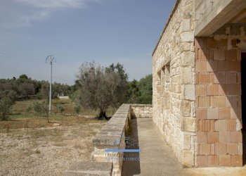 8-8.jpg - Casale contrada guappi falghero, Ostuni - foto 8