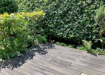 Bilocale Pianello del Lario - foto 5