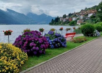 Bilocale Pianello del Lario - foto 7