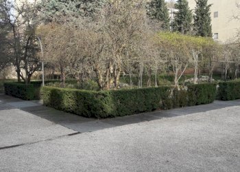 Independent house Piacenza - photo 6