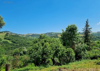 Stabile - Palazzo Ponzano di Fermo - foto 22