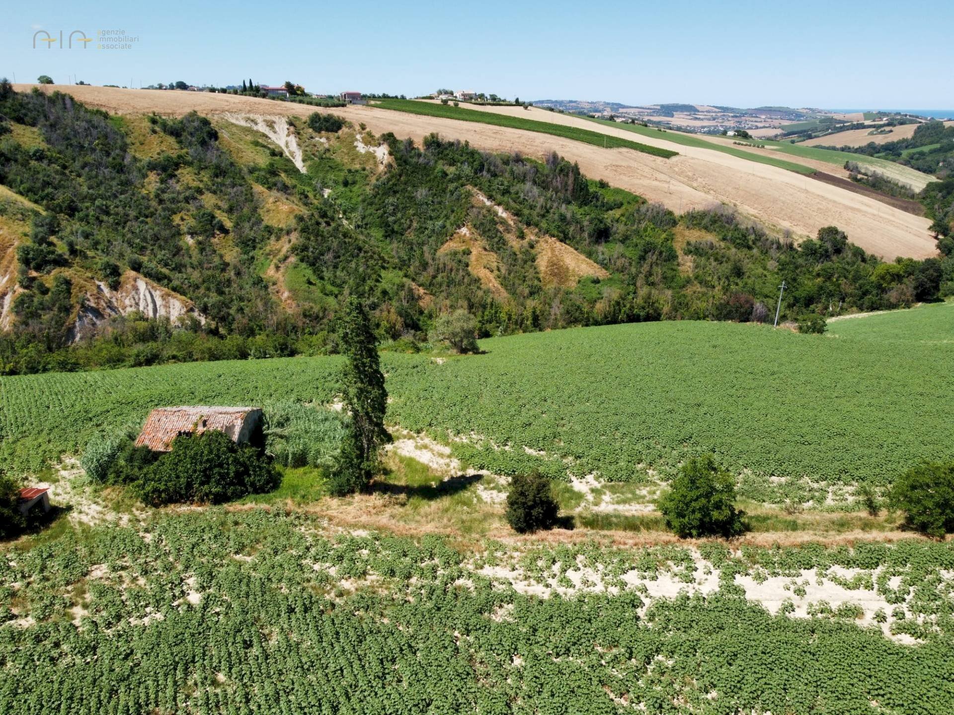 Rustic CONTRADA FONTERRANTE, Monterubbiano - photo 3