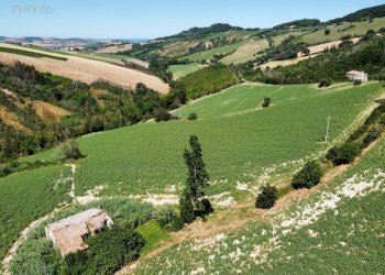 Rustico CONTRADA FONTERRANTE, Monterubbiano - foto 6
