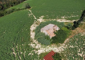Rustico CONTRADA FONTERRANTE, Monterubbiano - foto 7