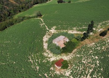 Rustico CONTRADA FONTERRANTE, Monterubbiano - foto 8