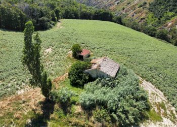 Rustico CONTRADA FONTERRANTE, Monterubbiano - foto 11