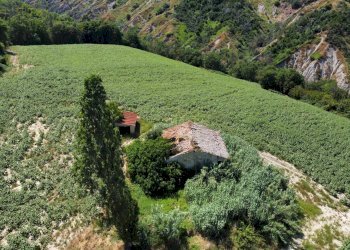 Rustico CONTRADA FONTERRANTE, Monterubbiano - foto 12