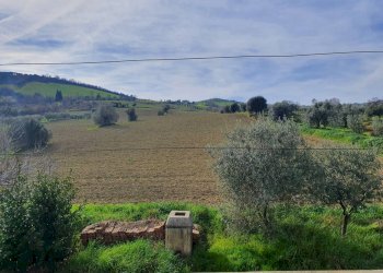 Agricultural land contrada taiano, Controguerra - photo 4