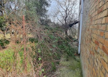 Agricultural land contrada taiano, Controguerra - photo 20