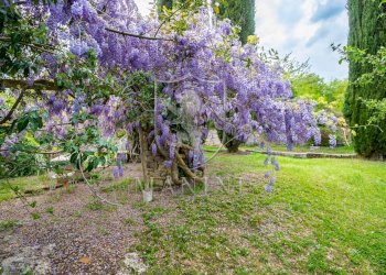 Rustico via del cimitero, Rapolano Terme - foto 28