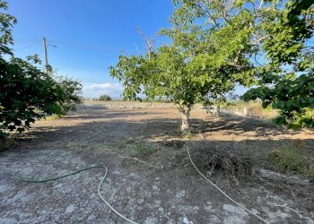 IMG_4312.jpg - Villa SP23, Modica - foto 5