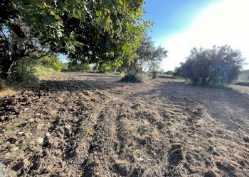 IMG_4328.jpg - Villa SP23, Modica - foto 11