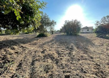 IMG_4329.jpg - Villa SP23, Modica - foto 12