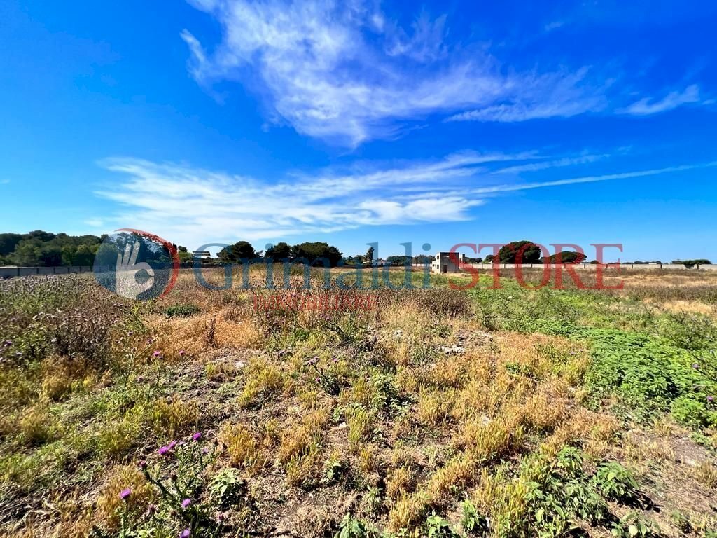 PHOTO-2023-06-09-16-04-48 (12)_risultato.jpg - Palestra e Impianti Sportivi Via Pancaldo Leone 7b, Lecce - foto 1