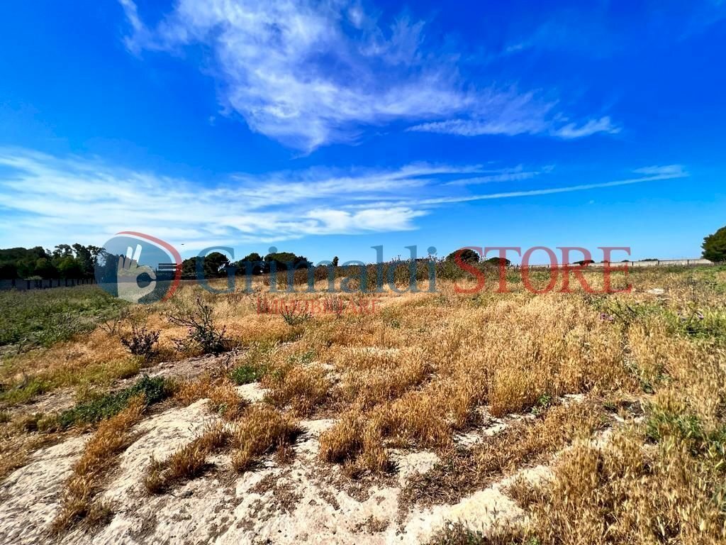 PHOTO-2023-06-09-16-04-48 (1)_risultato.jpg - Palestra e Impianti Sportivi Via Pancaldo Leone 7b, Lecce - foto 2