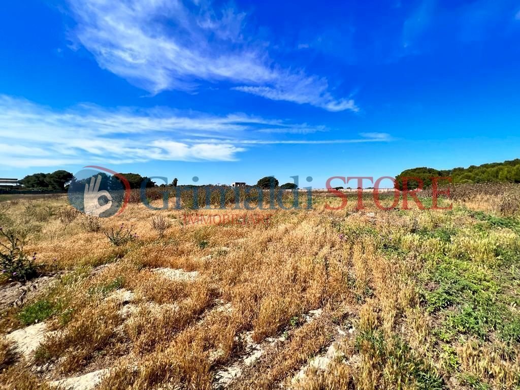 PHOTO-2023-06-09-16-04-48 (2)_risultato.jpg - Palestra e Impianti Sportivi Via Pancaldo Leone 7b, Lecce - foto 3