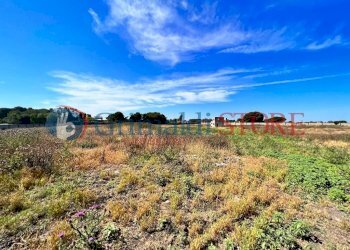 PHOTO-2023-06-09-16-04-48 (12)_risultato.jpg - Palestra e Impianti Sportivi Via Pancaldo Leone 7b, Lecce - foto 1