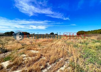 PHOTO-2023-06-09-16-04-48 (2)_risultato.jpg - Palestra e Impianti Sportivi Via Pancaldo Leone 7b, Lecce - foto 3