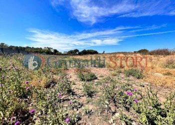 PHOTO-2023-06-09-16-04-48 (3)_risultato.jpg - Palestra e Impianti Sportivi Via Pancaldo Leone 7b, Lecce - foto 4