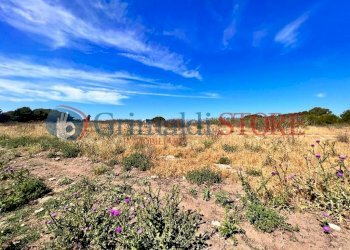 PHOTO-2023-06-09-16-04-48 (4)_risultato.jpg - Palestra e Impianti Sportivi Via Pancaldo Leone 7b, Lecce - foto 5