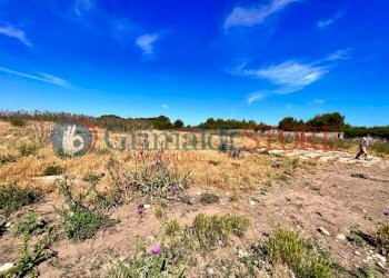 PHOTO-2023-06-09-16-04-48 (5)_risultato.jpg - Palestra e Impianti Sportivi Via Pancaldo Leone 7b, Lecce - foto 6