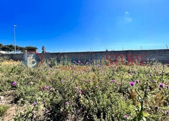 PHOTO-2023-06-09-16-04-48 (6)_risultato.jpg - Palestra e Impianti Sportivi Via Pancaldo Leone 7b, Lecce - foto 7