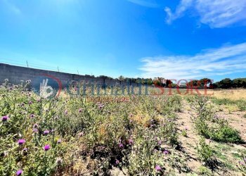 PHOTO-2023-06-09-16-04-48 (7)_risultato.jpg - Palestra e Impianti Sportivi Via Pancaldo Leone 7b, Lecce - foto 8