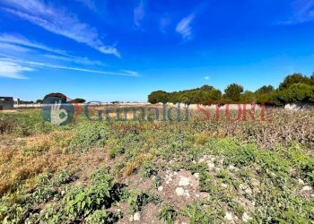 PHOTO-2023-06-09-16-04-48 (8)_risultato.jpg - Palestra e Impianti Sportivi Via Pancaldo Leone 7b, Lecce - foto 9