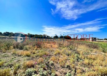 PHOTO-2023-06-09-16-04-48 (10)_risultato.jpg - Palestra e Impianti Sportivi Via Pancaldo Leone 7b, Lecce - foto 11