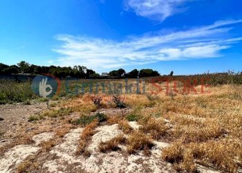 PHOTO-2023-06-09-16-04-48_risultato.jpg - Palestra e Impianti Sportivi Via Pancaldo Leone 7b, Lecce - foto 14