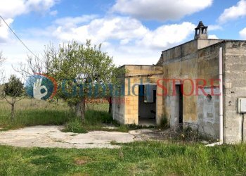 agim (7).jpg - Rustico Contrada Signorella, Cutrofiano - foto 6