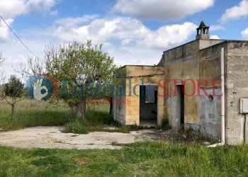 agim (8).jpg - Rustico Contrada Signorella, Cutrofiano - foto 8