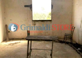 agim (9).jpg - Rustico Contrada Signorella, Cutrofiano - foto 9