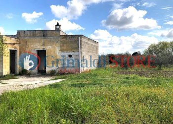 agim (10).jpg - Rustico Contrada Signorella, Cutrofiano - foto 11