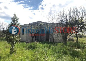 agim (11).jpg - Rustico Contrada Signorella, Cutrofiano - foto 12