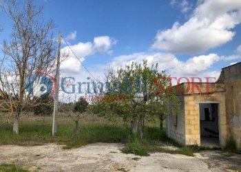 agim (12).jpg - Rustico Contrada Signorella, Cutrofiano - foto 13