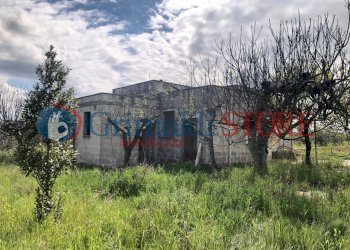 agim (13).jpg - Rustico Contrada Signorella, Cutrofiano - foto 14