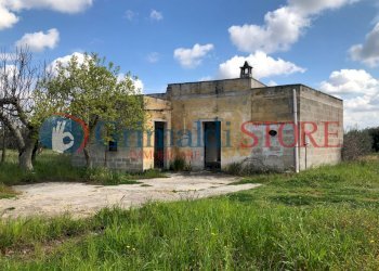 agim c.jpg - Rustico Contrada Signorella, Cutrofiano - foto 17