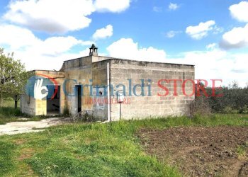 agim.jpg - Rustico Contrada Signorella, Cutrofiano - foto 2