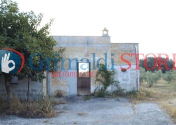 AGIM (3).jpg - Rustico Contrada Signorella, Cutrofiano - foto 19